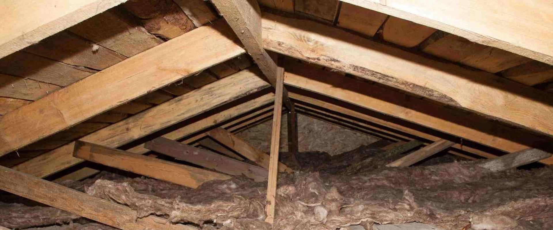 Insulating an Attic in Davie, Florida: What You Need to Know